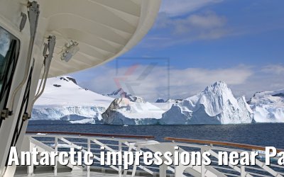 Antarctic impressions near Paradise Bay 08.01.2017