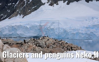 Glaciers and penguins Neko Harbor 08.01.2017