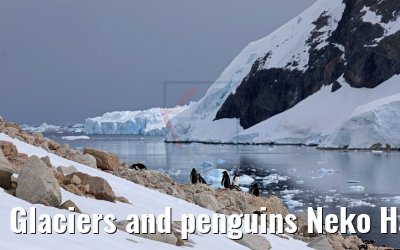 Glaciers and penguins Neko Harbor 08.01.2017