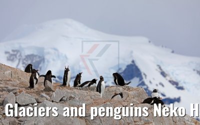 Glaciers and penguins Neko Harbor 08.01.2017