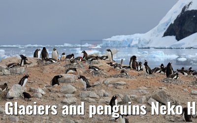 Glaciers and penguins Neko Harbor 08.01.2017