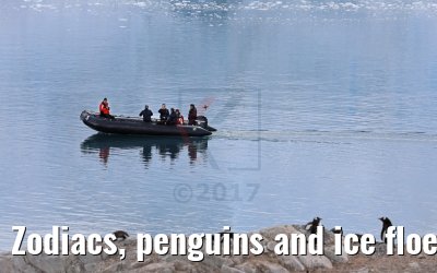 Zodiacs, penguins and ice floes, Neko Harbor Antarctica 08.01.2017