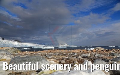 Beautiful scenery and penguins on Cuverville Island Antarctica 09.01.2017