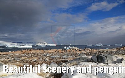 Beautiful scenery and penguins on Cuverville Island Antarctica 09.01.2017