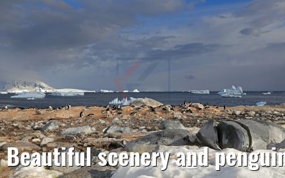 Beautiful scenery and penguins on Cuverville Island Antarctica 09.01.2017