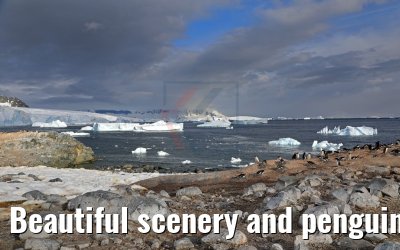 Beautiful scenery and penguins on Cuverville Island Antarctica 09.01.2017