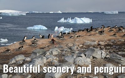 Beautiful scenery and penguins on Cuverville Island Antarctica 09.01.2017