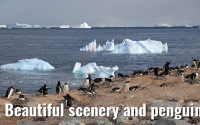 Beautiful scenery and penguins on Cuverville Island Antarctica 09.01.2017