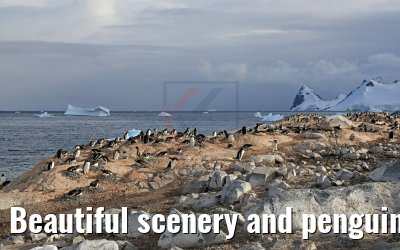 Beautiful scenery and penguins on Cuverville Island Antarctica 09.01.2017