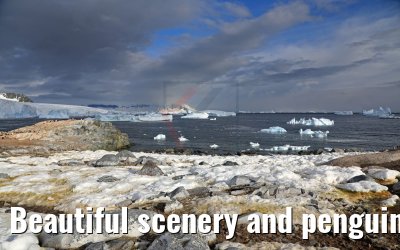 Beautiful scenery and penguins on Cuverville Island Antarctica 09.01.2017