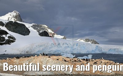 Beautiful scenery and penguins on Cuverville Island Antarctica 09.01.2017