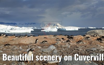 Beautiful scenery on Cuverville Island Antarctica 09.01.2017