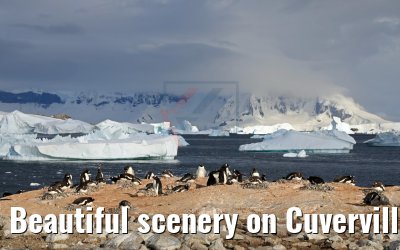Beautiful scenery on Cuverville Island Antarctica 09.01.2017