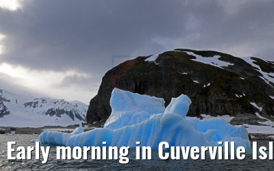 Early morning in Cuverville Island Antarctica 09.01.2017