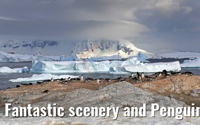 Fantastic scenery and Penguins on Cuverville Island Antarctica 09.01.2017