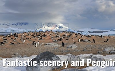 Fantastic scenery and Penguins on Cuverville Island Antarctica 09.01.2017