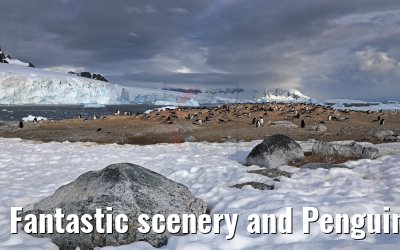 Fantastic scenery and Penguins on Cuverville Island Antarctica 09.01.2017