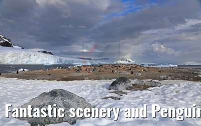 Fantastic scenery and Penguins on Cuverville Island Antarctica 09.01.2017