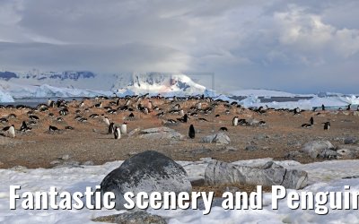 Fantastic scenery and Penguins on Cuverville Island Antarctica 09.01.2017