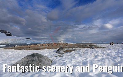 Fantastic scenery and Penguins on Cuverville Island Antarctica 09.01.2017