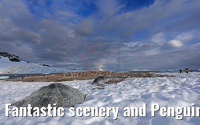 Fantastic scenery and Penguins on Cuverville Island Antarctica 09.01.2017