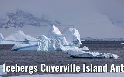 Icebergs Cuverville Island Antarctica 09.01.2017