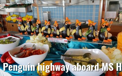 Penguin highway aboard MS Hamburg 09.01.2017
