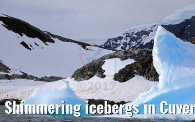Shimmering icebergs in Cuverville Island Antarctica 09.01.2017