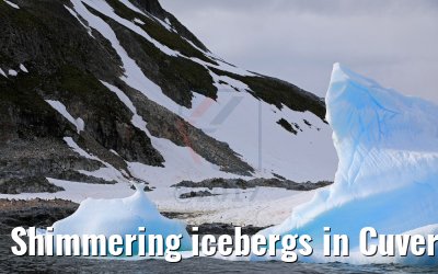 Shimmering icebergs in Cuverville Island Antarctica 09.01.2017