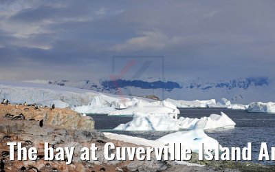 The bay at Cuverville Island Antarctica 09.01.2017