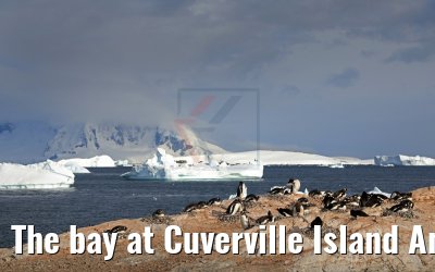 The bay at Cuverville Island Antarctica 09.01.2017