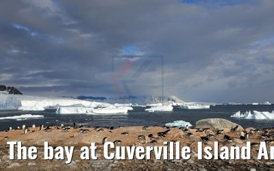 The bay at Cuverville Island Antarctica 09.01.2017