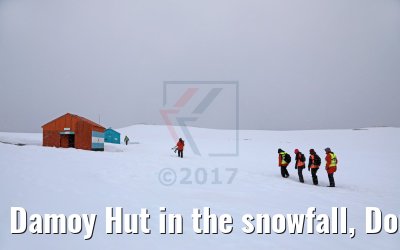 Damoy Hut in the snowfall, Dorian Bay, Wiencke Island Antarctica 09.01.2017