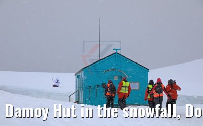 Damoy Hut in the snowfall, Dorian Bay, Wiencke Island Antarctica 09.01.2017