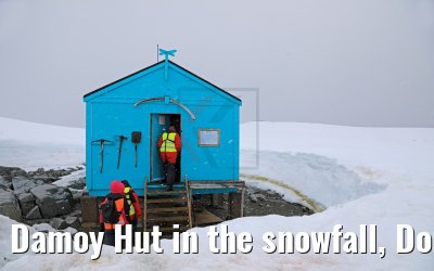 Damoy Hut in the snowfall, Dorian Bay, Wiencke Island Antarctica 09.01.2017