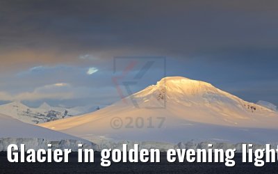 Glacier in golden evening light, Flandres Bay, Antarctica 09.01.2017