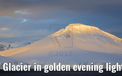 Glacier in golden evening light, Flandres Bay, Antarctica 09.01.2017