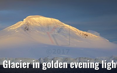 Glacier in golden evening light, Flandres Bay, Antarctica 09.01.2017