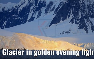 Glacier in golden evening light, Flandres Bay, Antarctica 09.01.2017