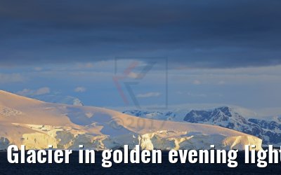 Glacier in golden evening light, Flandres Bay, Antarctica 09.01.2017