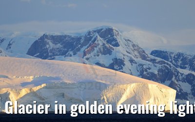 Glacier in golden evening light, Flandres Bay, Antarctica 09.01.2017