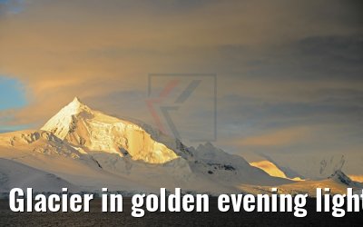 Glacier in golden evening light, Flandres Bay, Antarctica 09.01.2017