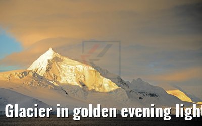 Glacier in golden evening light, Flandres Bay, Antarctica 09.01.2017