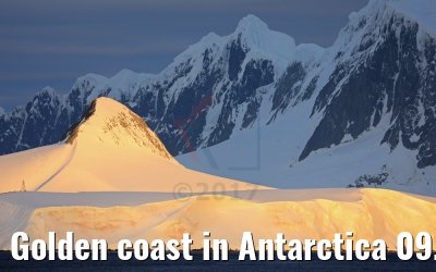 Golden coast in Antarctica 09.01.2017