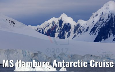 MS Hamburg Antarctic Cruise 09.01.2017