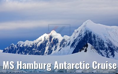 MS Hamburg Antarctic Cruise 09.01.2017
