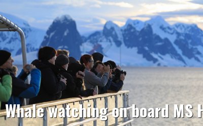 Whale watching on board MS Hamburg 09.01.2017