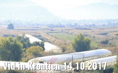 Vid in Kroatien 14.10.2017