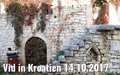 Vid in Kroatien 14.10.2017