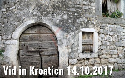 Vid in Kroatien 14.10.2017